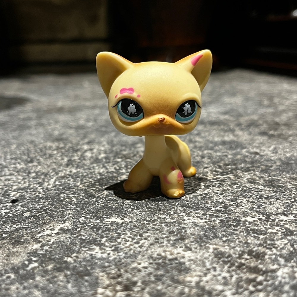 lps splatter kitty
